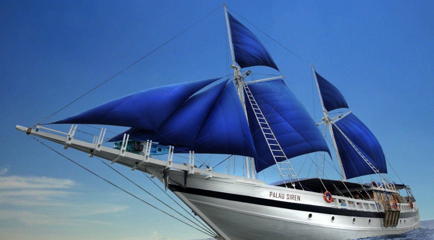 扬帆出海！！！云顶集团3118之家数字化新征程