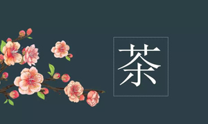 云顶集团3118之家宜昌店营业部开展关于茶艺知识培训