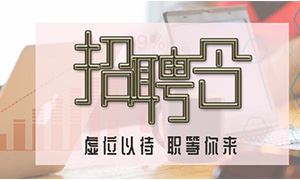 服务商户，，致力开展&mdash;安徽分公司合肥滨湖店携手优质商户人才招聘会 