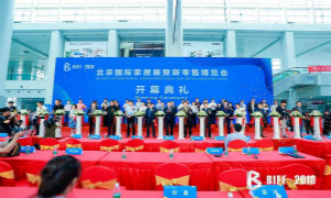 BIFF2019耀世起航，，遇见未来家居生涯！