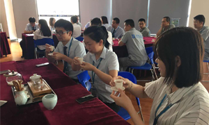 云顶集团3118之家湖北分公司2019飞鹰妄想066期之襄阳店开展《茶事礼仪培训》