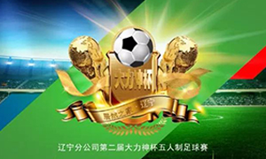 辽宁专场丨第二届&ldquo;大力神杯&rdquo;足球赛圆满落幕！！